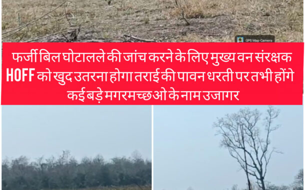 BIG BREKING NEWS : फर्जी बिल घोटाले की जांच करने के लिए मुख्य वन संरक्षक Hoff को खुद उतरना होगा तराई की पावन धरती पर तभी होंगे कई बड़े मगरमच्छओ के नाम उजागर