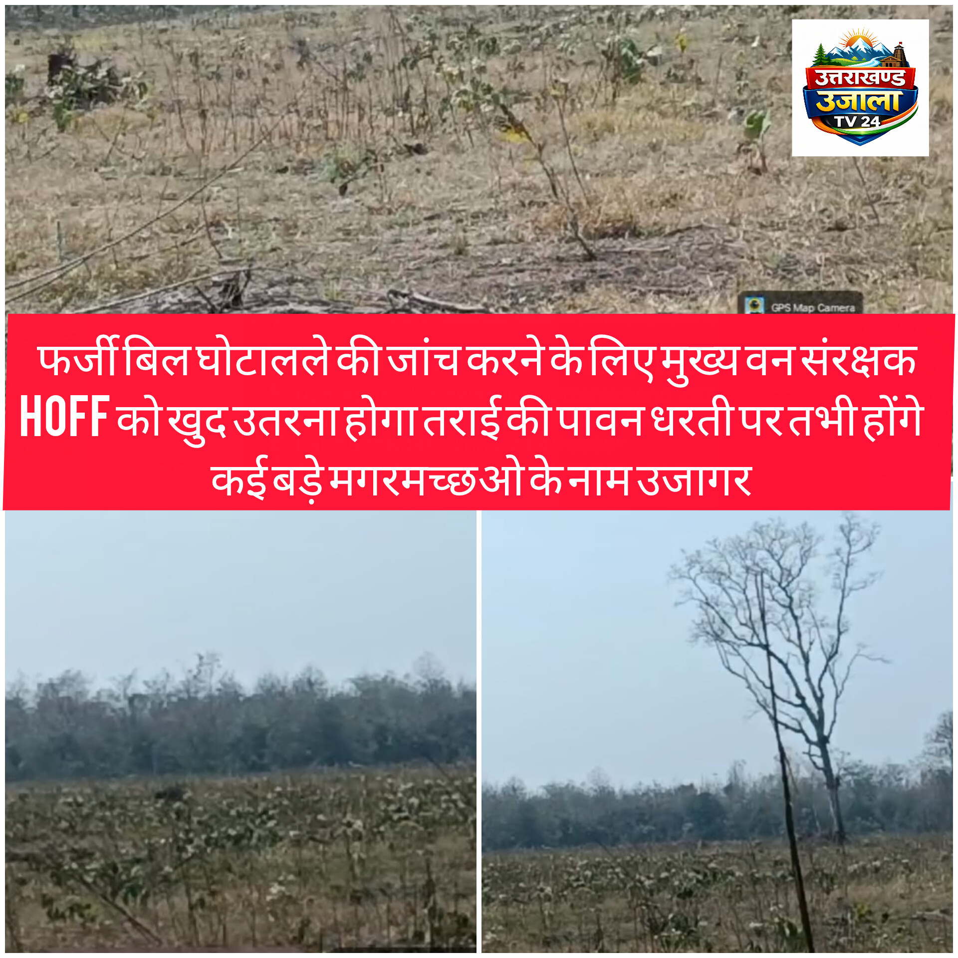 BIG BREKING NEWS : फर्जी बिल घोटाले की जांच करने के लिए मुख्य वन संरक्षक Hoff को खुद उतरना होगा तराई की पावन धरती पर तभी होंगे कई बड़े मगरमच्छओ के नाम उजागर