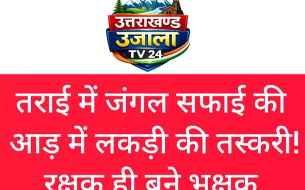 BIG NEWS! तराई में जंगल सफाई की आड़ में लकड़ी की तस्करी! रक्षक ही बने भक्षक