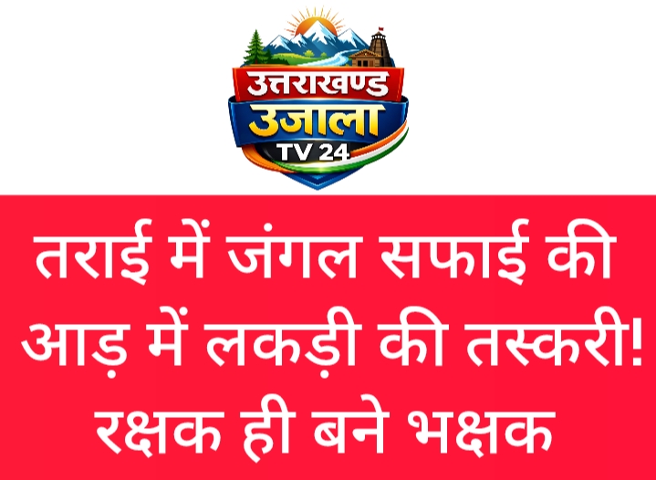 BIG NEWS! तराई में जंगल सफाई की आड़ में लकड़ी की तस्करी! रक्षक ही बने भक्षक